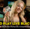 How to play Live Blackjack