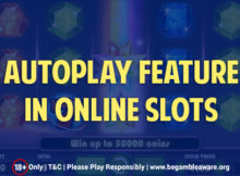 Play Online Slots with the Autoplay Feature