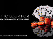 Crucial Points To Remember To Choose A Quality Casino Affiliate Scheme